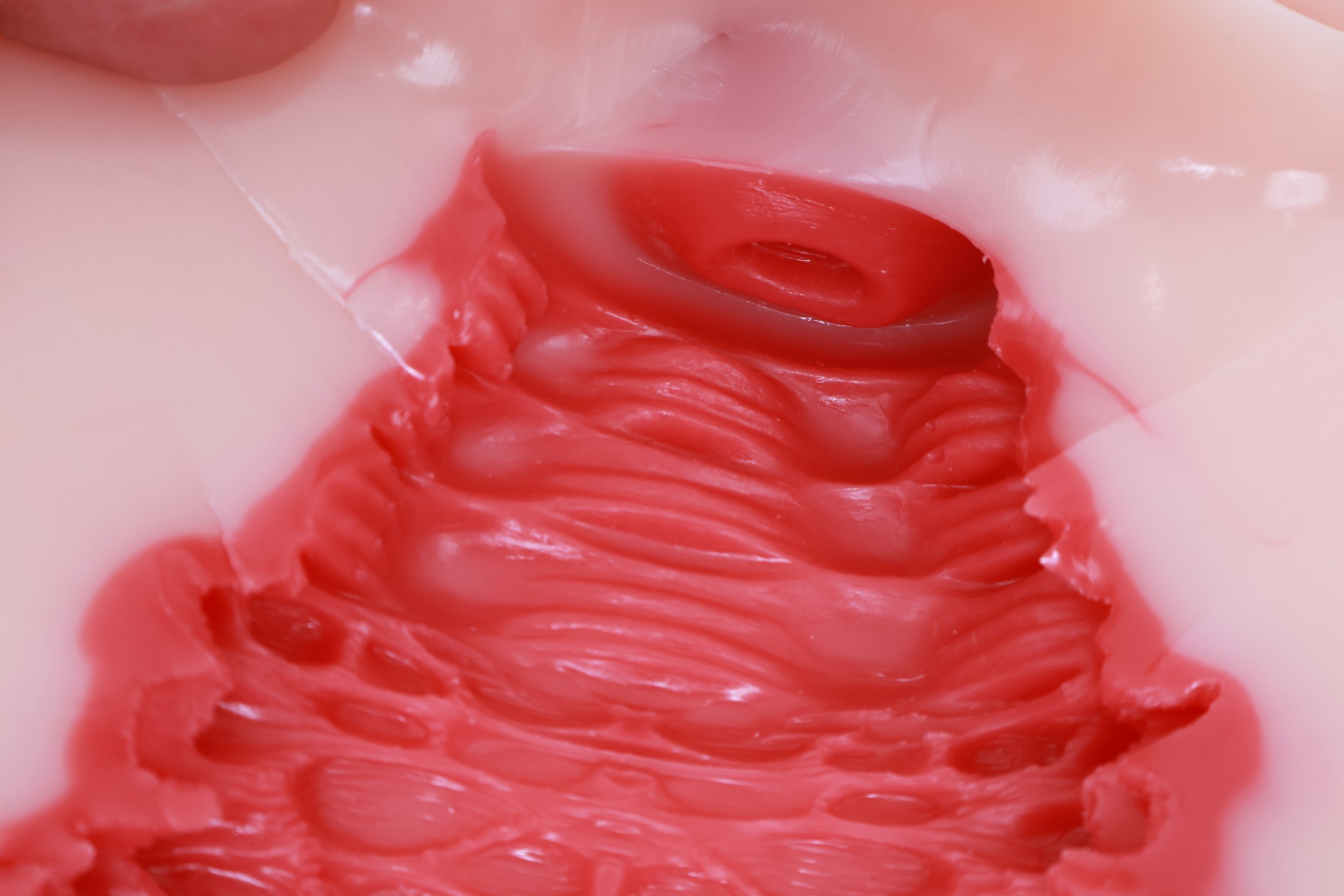 Lovefactor——“禁忌修女2代”评测！朴实无华的“黏膜感+大块”的排气子宫杯，平平无奇还是更具实用性？