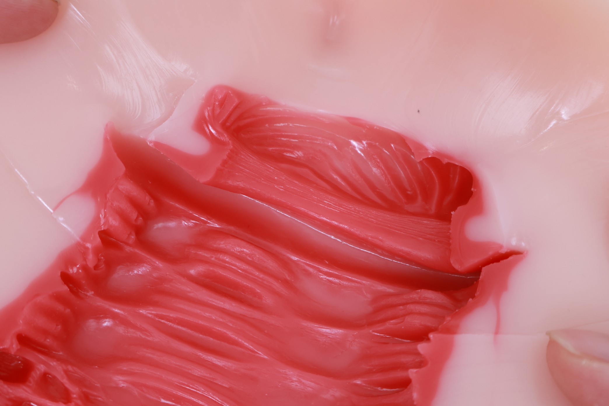 Lovefactor——“禁忌修女2代”评测！朴实无华的“黏膜感+大块”的排气子宫杯，平平无奇还是更具实用性？