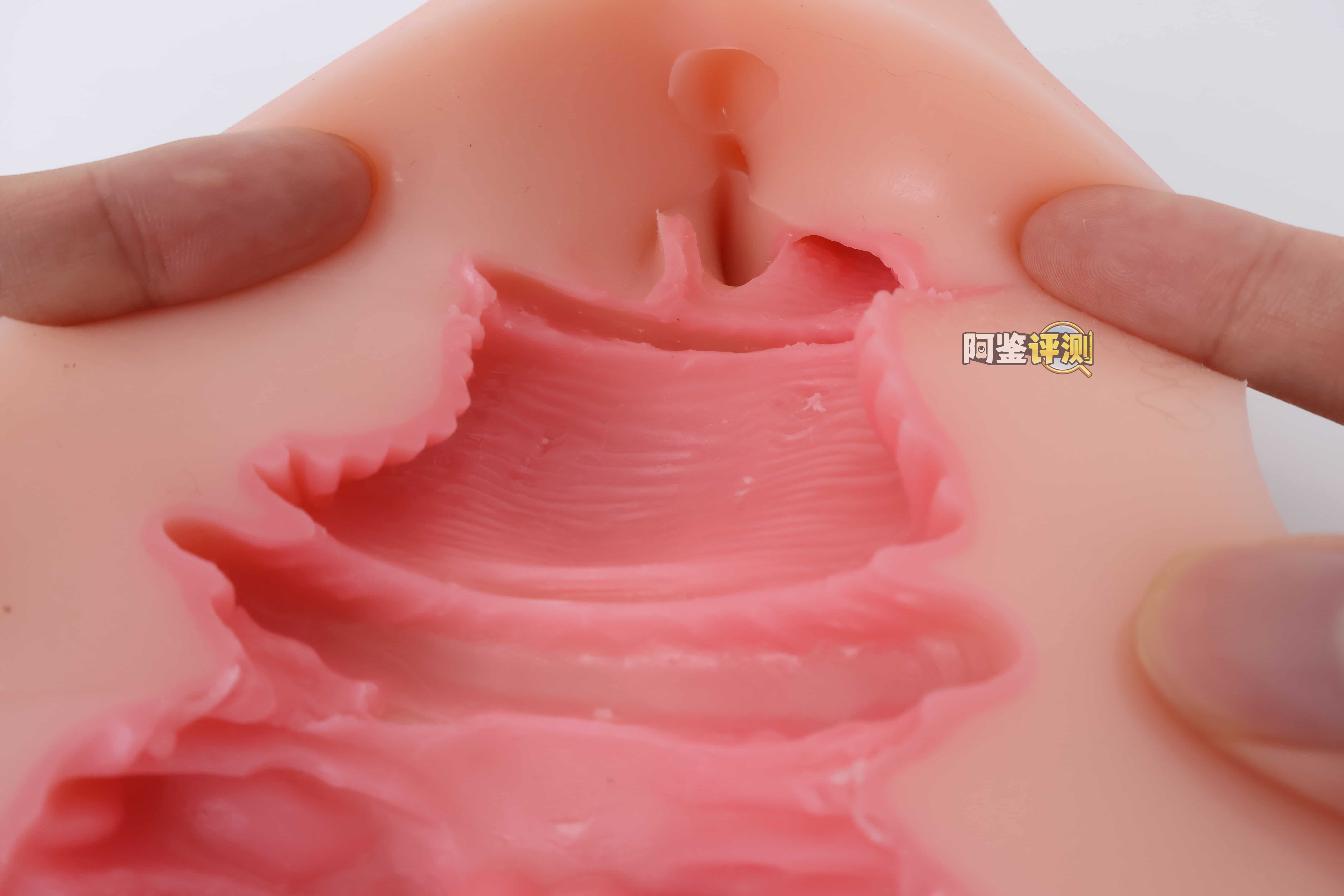 KAGUYANO——”诗多利”评测！非常“二次元画风”的口腔结构，但深处的简单结构并不实用