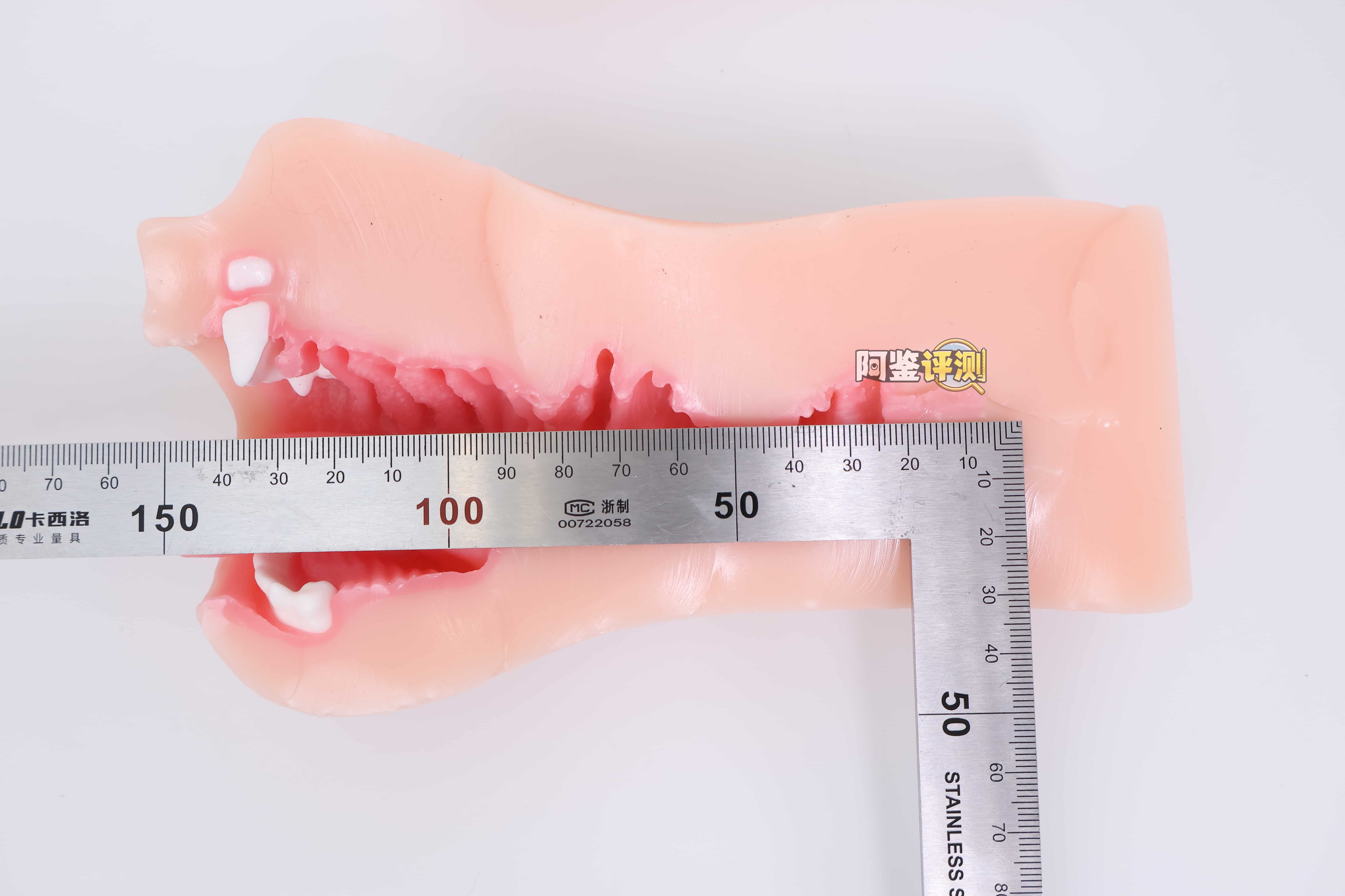 KAGUYANO——”诗多利”评测！非常“二次元画风”的口腔结构，但深处的简单结构并不实用