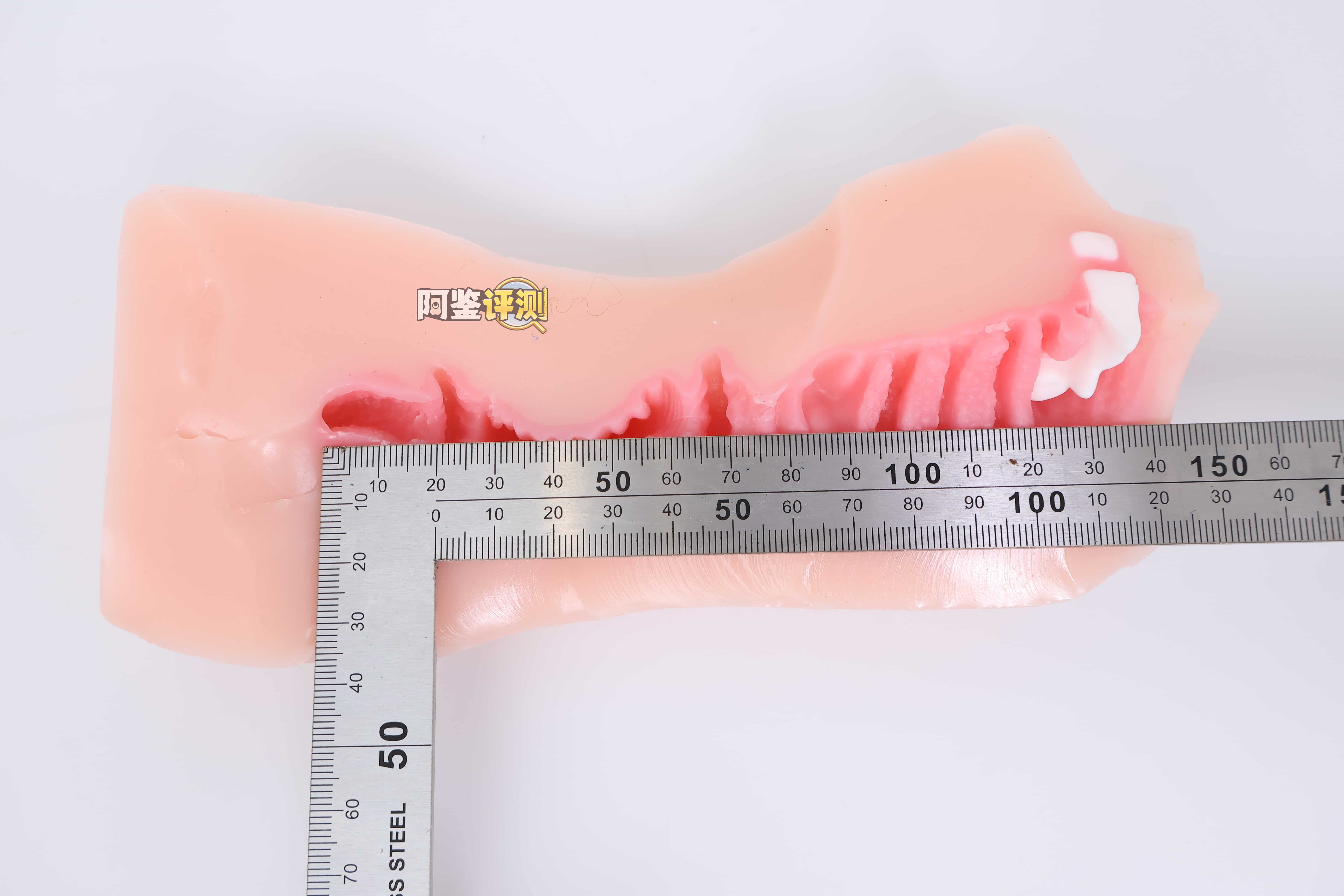 KAGUYANO——”诗多利”评测！非常“二次元画风”的口腔结构，但深处的简单结构并不实用