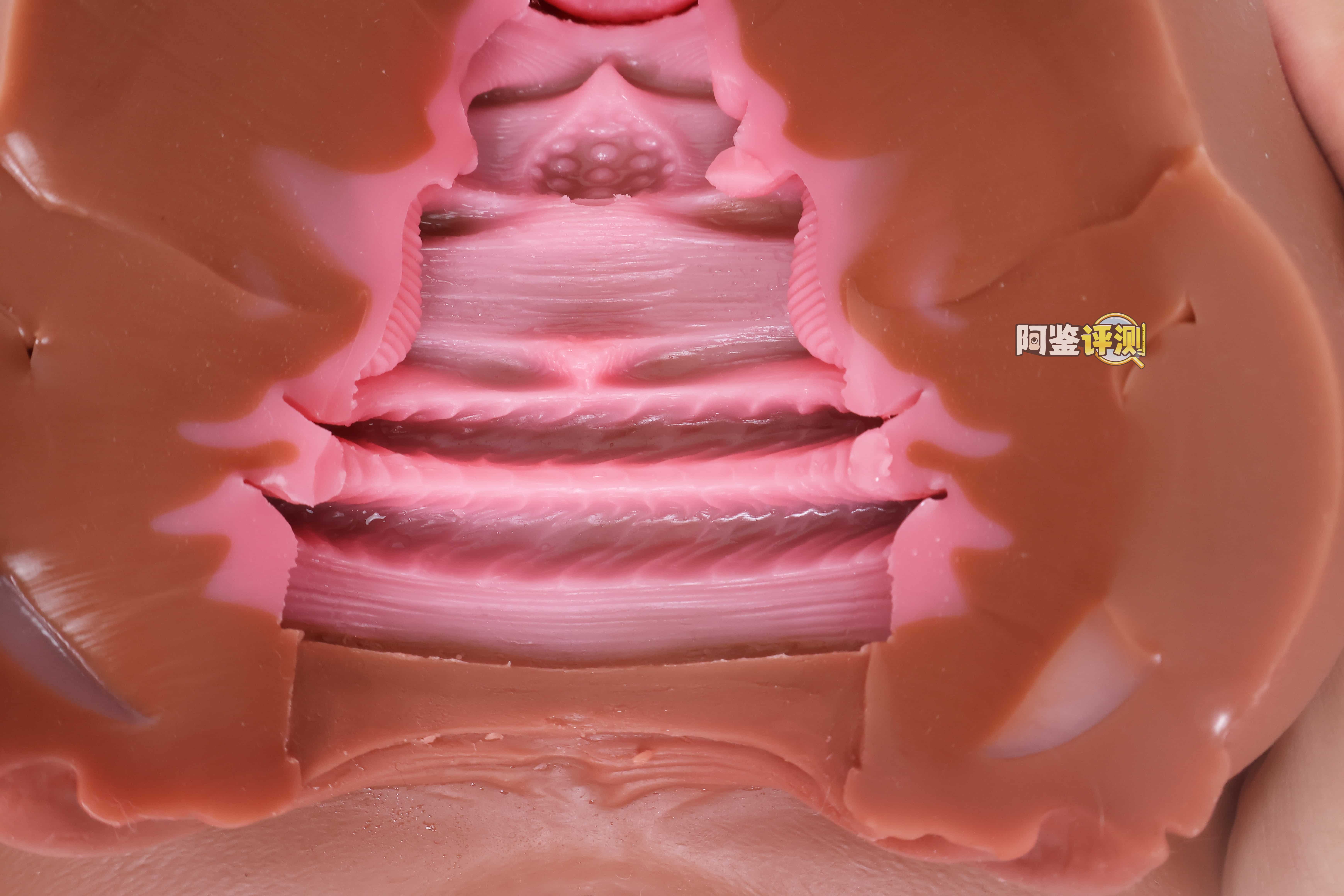 COC——"可可狼姬（软版）"评测！仅仅是臀部做了一点加软，就对整个玩具体验带来了不小的提升