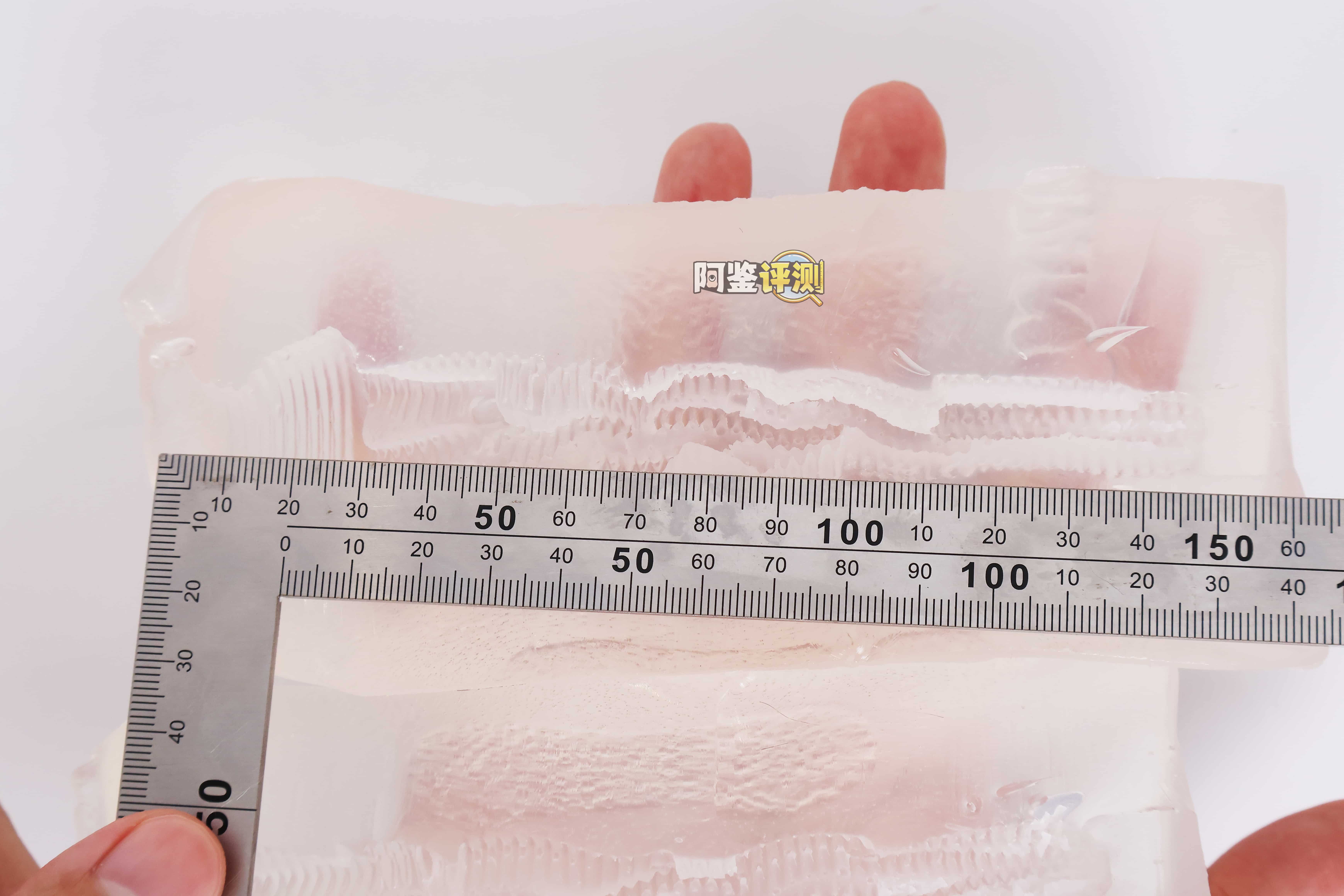 RIDE JAPAN——”QUEENS”评测！直球高刺激杯越来越少见的时候，RIDE终于又用它的透明材料出手了