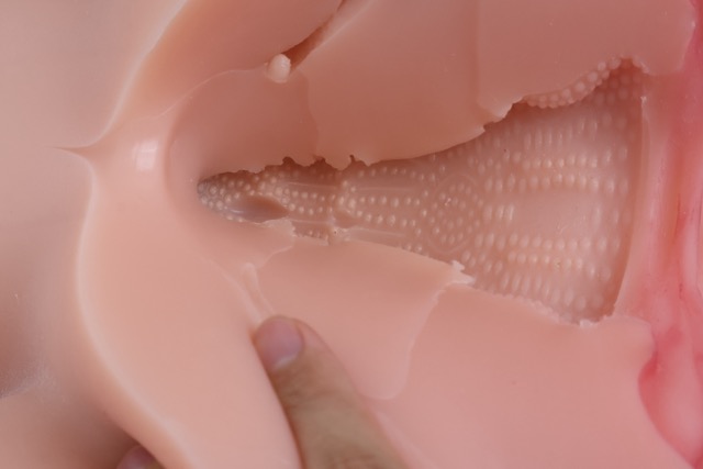 傲川——“爆汁肥尻娘MAX”评测！40kg逆天重量的究极大臀，实际使用起来到底是怎样的感觉？