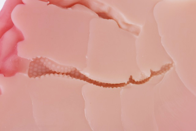 傲川——“爆汁肥尻娘MAX”评测！40kg逆天重量的究极大臀，实际使用起来到底是怎样的感觉？