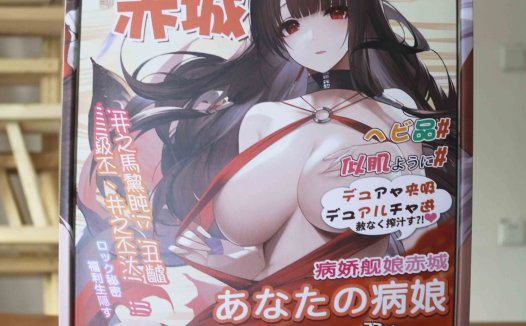 Onaho-舰娘赤城（小身体）评测！功能齐全的小身体，性价比之选的小型倒模！