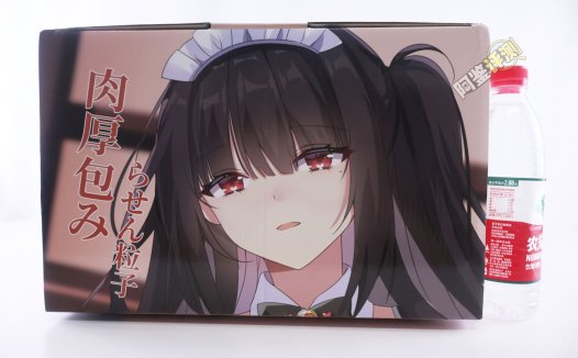 HMAX——“幻想女仆”评测！硬奶+固定腿部的大型倒模，插入有些不方便但至少床置比较好用